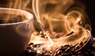Kỹ thuật rang cà phê – Phần 3: Màu, đặc điểm cà phê theo cấp độ rang