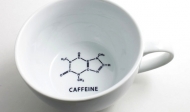 Cấu tạo và thành phần hóa học của hạt cà phê
